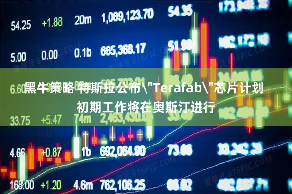 黑牛策略 特斯拉公布＂Terafab＂芯片计划 初期工作将在奥斯汀进行