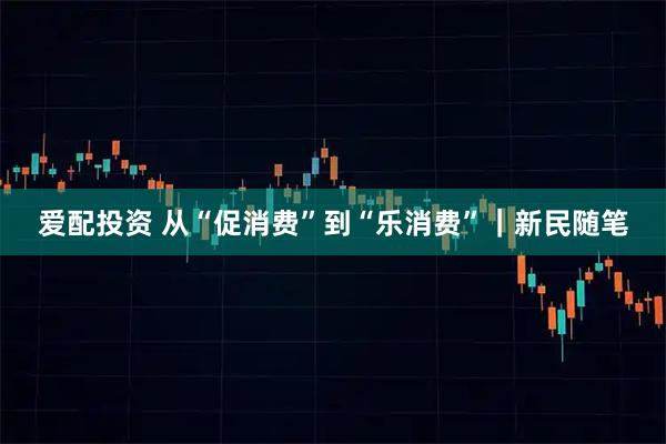 爱配投资 从“促消费”到“乐消费”｜新民随笔